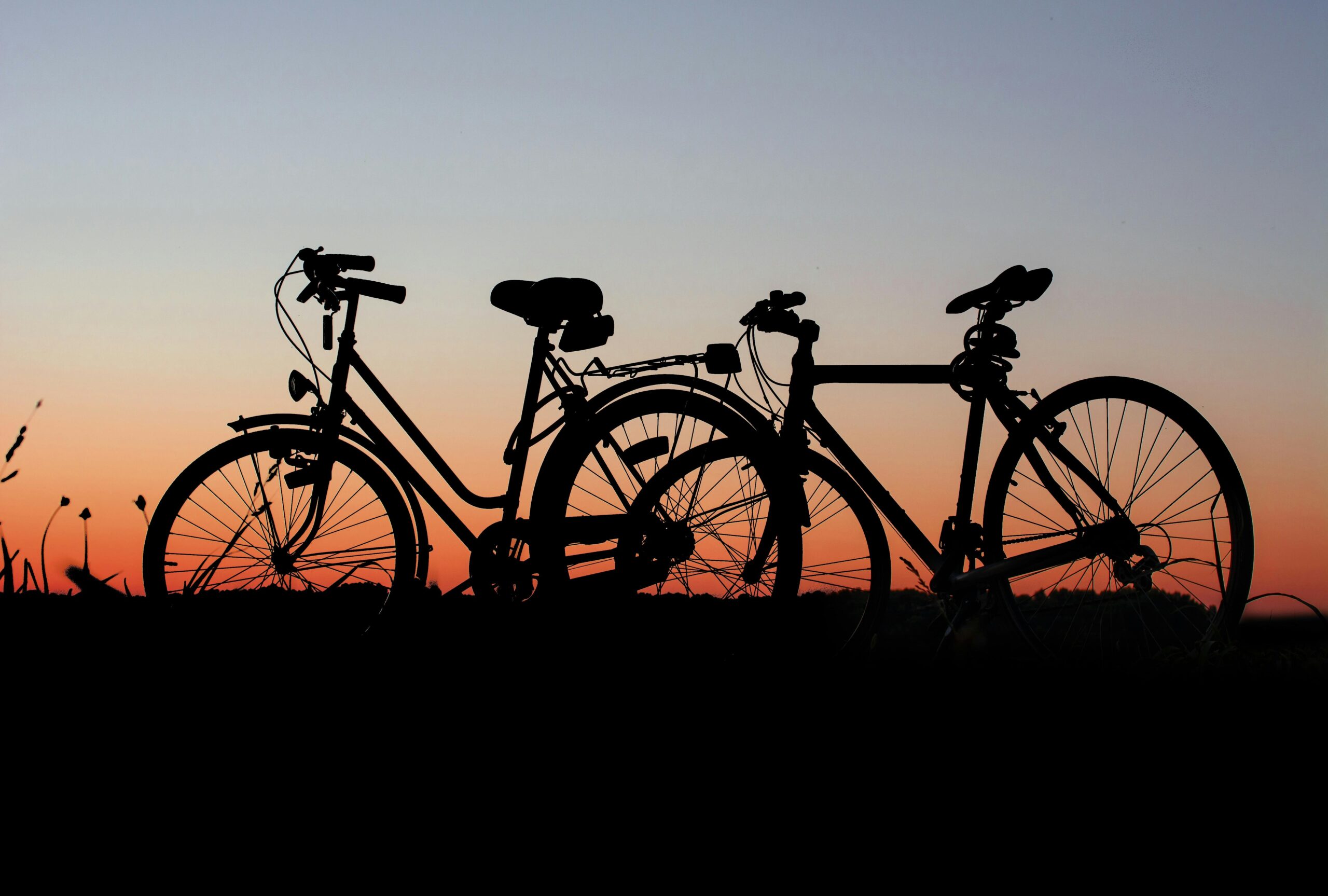 load bikes on a bike car rack